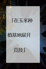 在玉米种植基地展开竞技