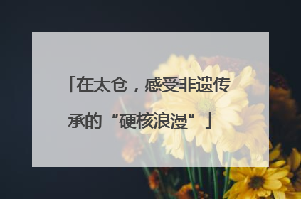 在太仓，感受非遗传承的“硬核浪漫”