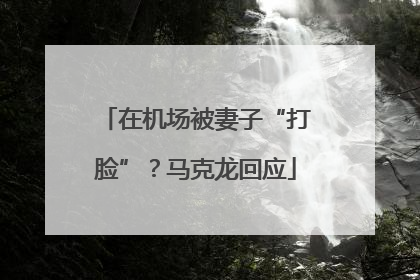 在机场被妻子“打脸”？马克龙回应