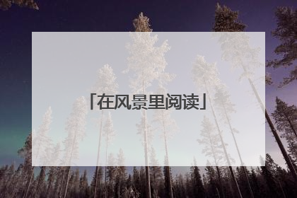 在风景里阅读
