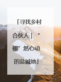 寻找乡村合伙人｜“棚”然心动的盐碱地