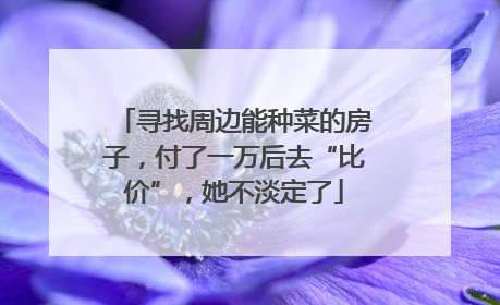 寻找周边能种菜的房子，付了一万后去“比价”，她不淡定了