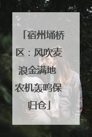 宿州埇桥区：风吹麦浪金满地 农机轰鸣保归仓