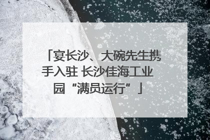 宴长沙、大碗先生携手入驻 长沙佳海工业园“满员运行”