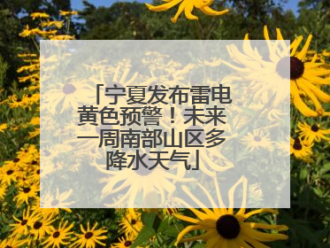 宁夏发布雷电黄色预警！未来一周南部山区多降水天气