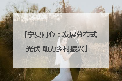 宁夏同心：发展分布式光伏 助力乡村振兴