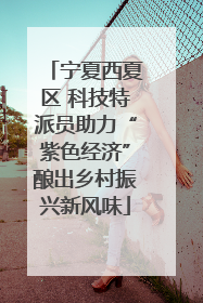宁夏西夏区 科技特派员助力“紫色经济”酿出乡村振兴新风味