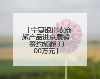 宁夏银川农商旅产品进京展销 签约额超3300万元