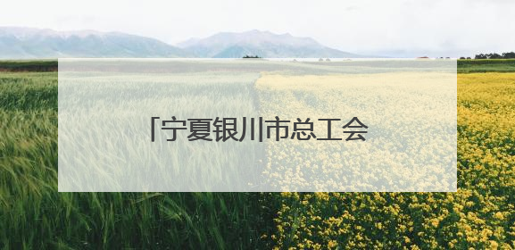 宁夏银川市总工会举办“劳模看银川 幸福微疗养”活动