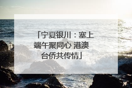 宁夏银川：塞上端午聚同心 港澳台侨共传情