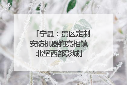 宁夏：景区定制安防机器狗亮相镇北堡西部影城