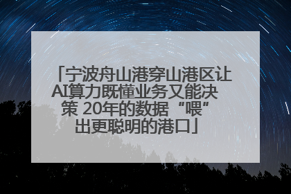 宁波舟山港穿山港区让AI算力既懂业务又能决策 20年的数据“喂”出更聪明的港口