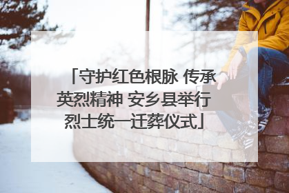 守护红色根脉 传承英烈精神 安乡县举行烈士统一迁葬仪式