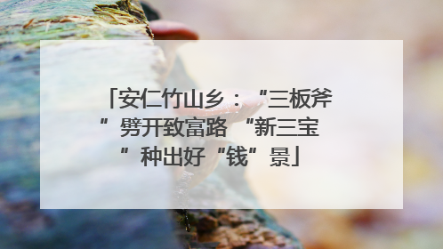安仁竹山乡：“三板斧”劈开致富路 “新三宝”种出好“钱”景