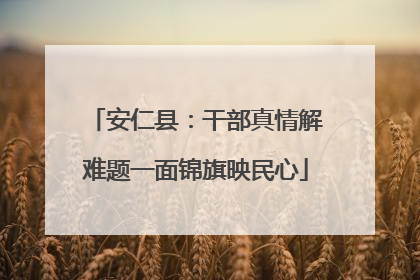 安仁县：干部真情解难题一面锦旗映民心