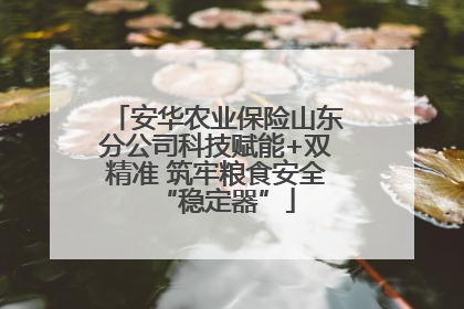 安华农业保险山东分公司科技赋能+双精准 筑牢粮食安全“稳定器”