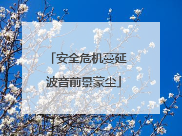 安全危机蔓延 波音前景蒙尘