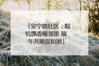 安宁路社区：粽情飘香暖邻里 端午共聚促和谐