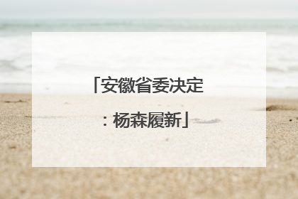 安徽省委决定：杨森履新
