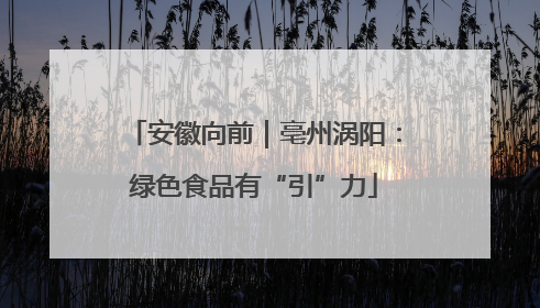 安徽向前｜亳州涡阳：绿色食品有“引”力