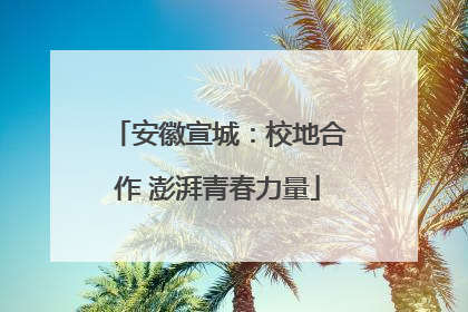 安徽宣城：校地合作 澎湃青春力量