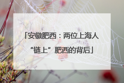 安徽肥西：两位上海人“链上”肥西的背后