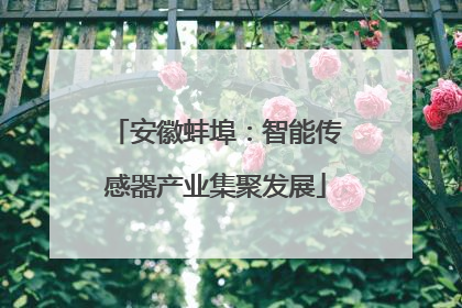安徽蚌埠：智能传感器产业集聚发展