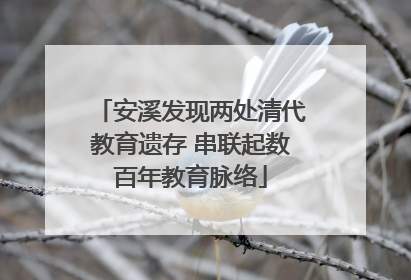 安溪发现两处清代教育遗存 串联起数百年教育脉络