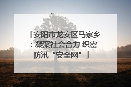 安阳市龙安区马家乡：凝聚社会合力 织密防汛“安全网”