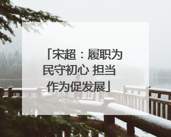宋超：履职为民守初心 担当作为促发展