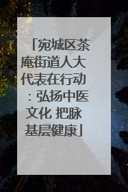 宛城区茶庵街道人大代表在行动：弘扬中医文化 把脉基层健康