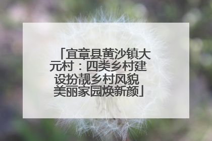 宜章县黄沙镇大元村：四类乡村建设扮靓乡村风貌 美丽家园焕新颜