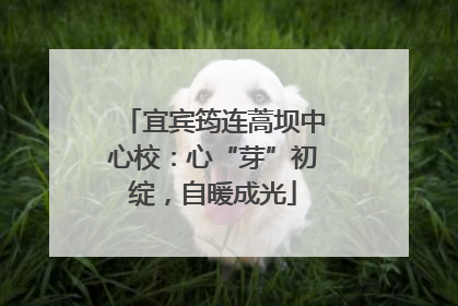 宜宾筠连蒿坝中心校：心“芽”初绽，自暖成光
