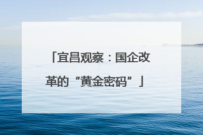 宜昌观察：国企改革的“黄金密码”