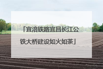 宜涪铁路宜昌长江公铁大桥建设如火如荼