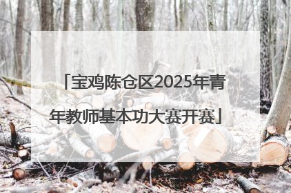 宝鸡陈仓区2025年青年教师基本功大赛开赛