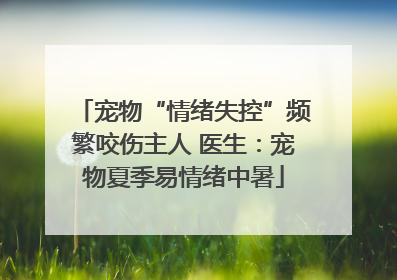 宠物“情绪失控”频繁咬伤主人 医生：宠物夏季易情绪中暑