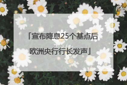 宣布降息25个基点后 欧洲央行行长发声