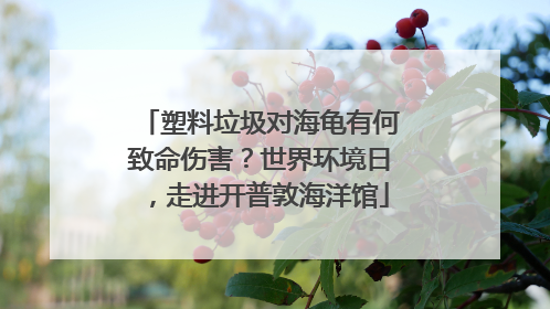 塑料垃圾对海龟有何致命伤害？世界环境日，走进开普敦海洋馆