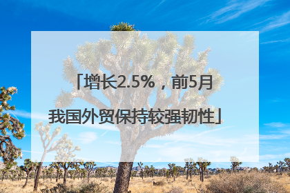 增长2.5%，前5月我国外贸保持较强韧性