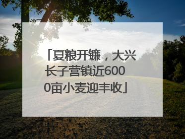 夏粮开镰，大兴长子营镇近6000亩小麦迎丰收