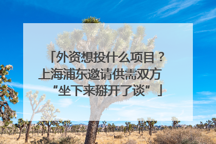 外资想投什么项目？上海浦东邀请供需双方“坐下来掰开了谈”