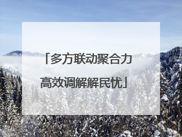 多方联动聚合力 高效调解解民忧