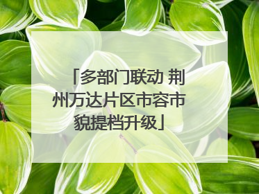 多部门联动 荆州万达片区市容市貌提档升级