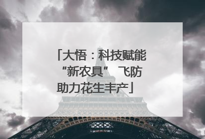 大悟：科技赋能“新农具” 飞防助力花生丰产