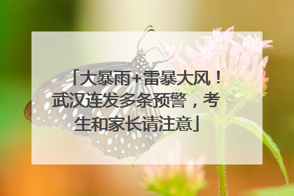 大暴雨+雷暴大风！武汉连发多条预警，考生和家长请注意