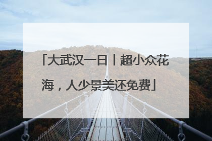 大武汉一日丨超小众花海，人少景美还免费