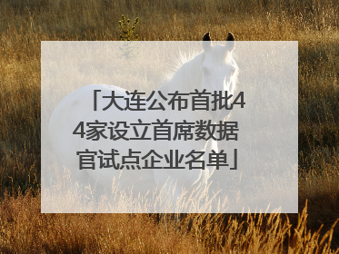 大连公布首批44家设立首席数据官试点企业名单