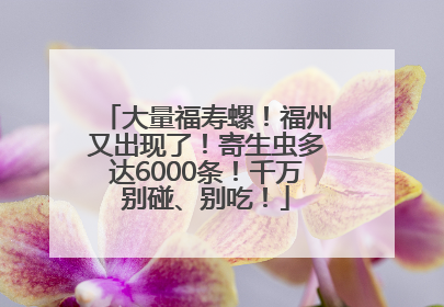 大量福寿螺！福州又出现了！寄生虫多达6000条！千万别碰、别吃！