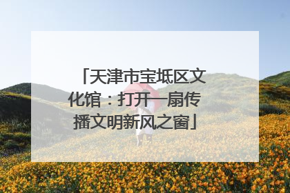 天津市宝坻区文化馆：打开一扇传播文明新风之窗